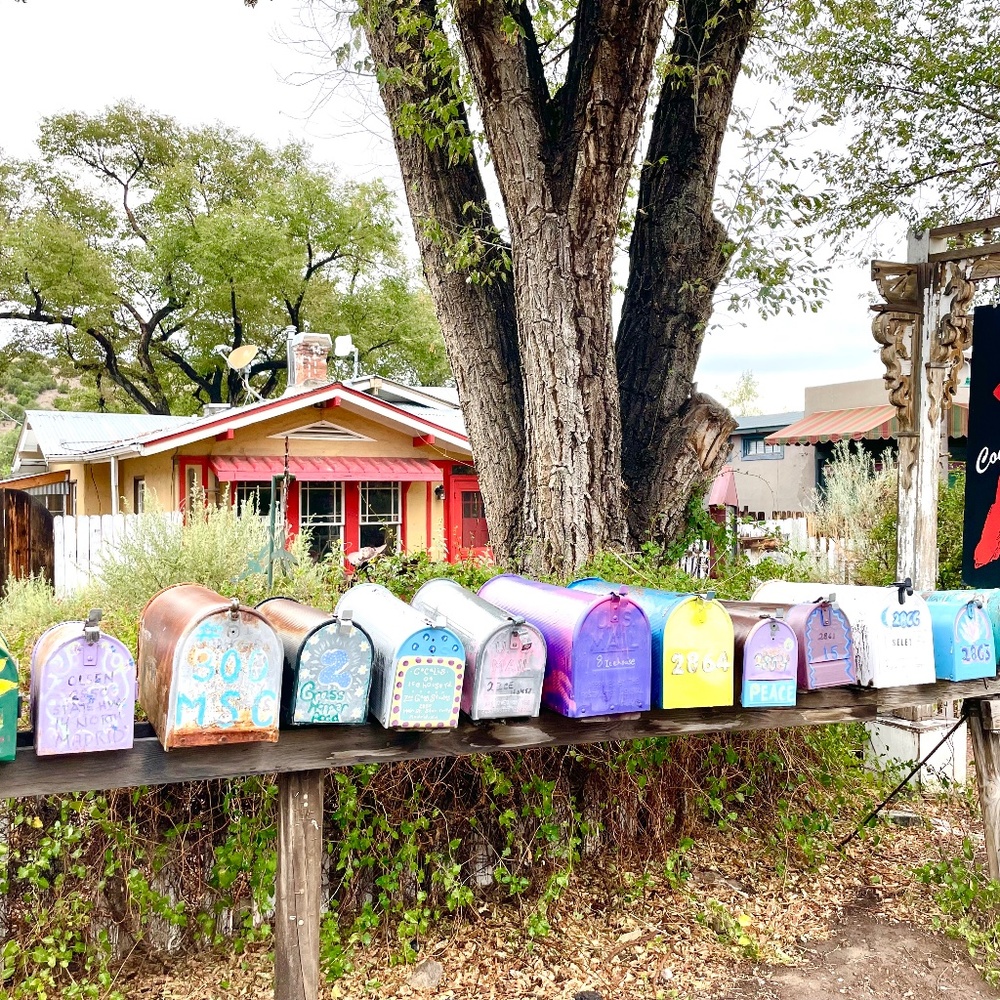 Meet your Posher, Jessie